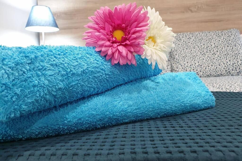 Apartamento Eucalipto Mozaga エクステリア 写真