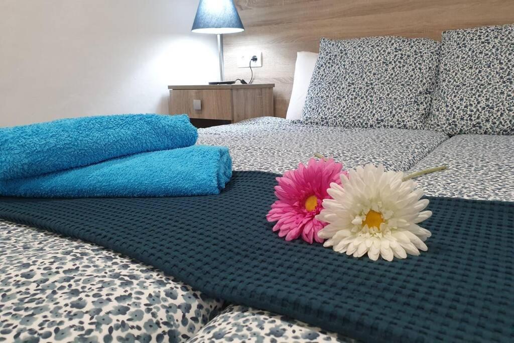 Apartamento Eucalipto Mozaga エクステリア 写真